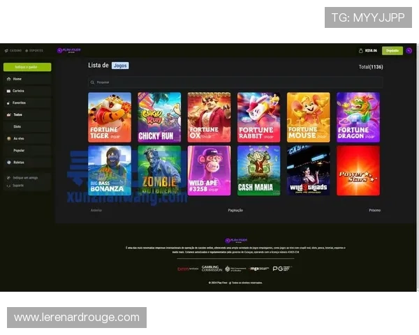 PG电子官网入口登录安全策略加强，保障玩家个人信息与资金安全不受威胁